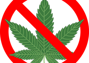 Nuovo stop alla cannabis “light”