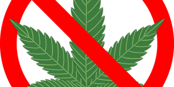 Nuovo stop alla cannabis “light”