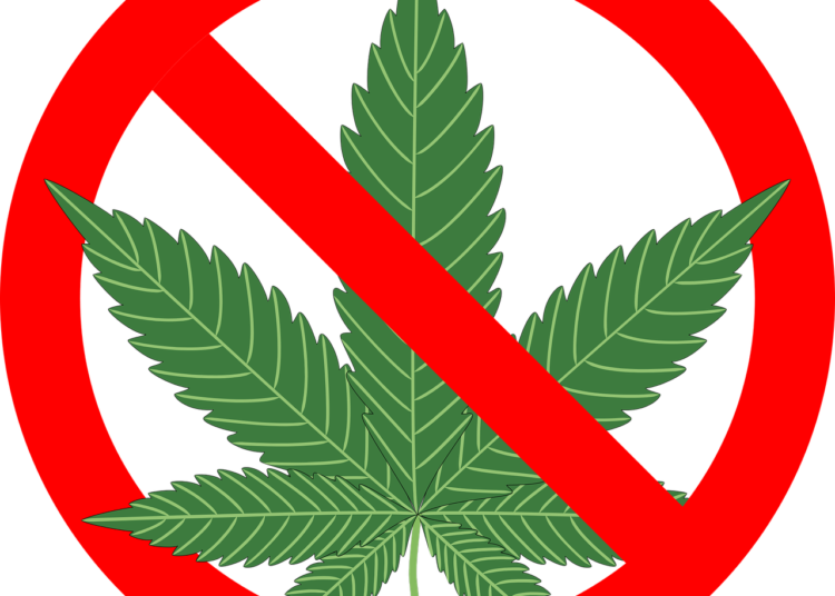 Nuovo stop alla cannabis “light”
