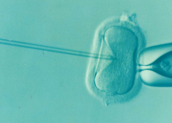 La investigación de fertilidad en México plantea preocupaciones éticas