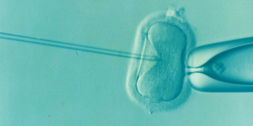 La investigación de fertilidad en México plantea preocupaciones éticas