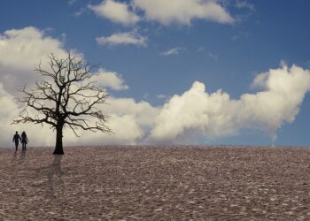 Cambiamento climatico e uomo