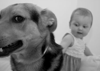 Cane e bambina