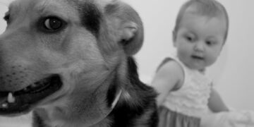 Cane e bambina