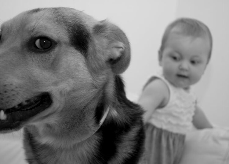 Cane e bambina