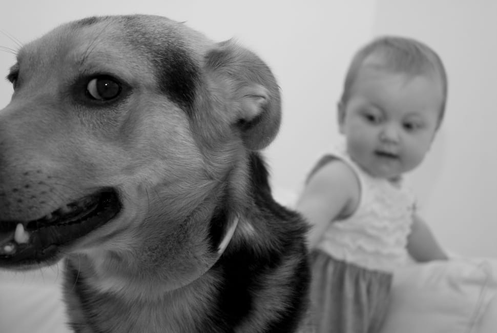 Cane e bambina
