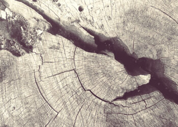 Шта је то конзервативизам? (3.део)