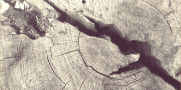 Шта је то конзервативизам? (3.део)