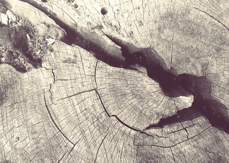 Шта је то конзервативизам? (3.део)