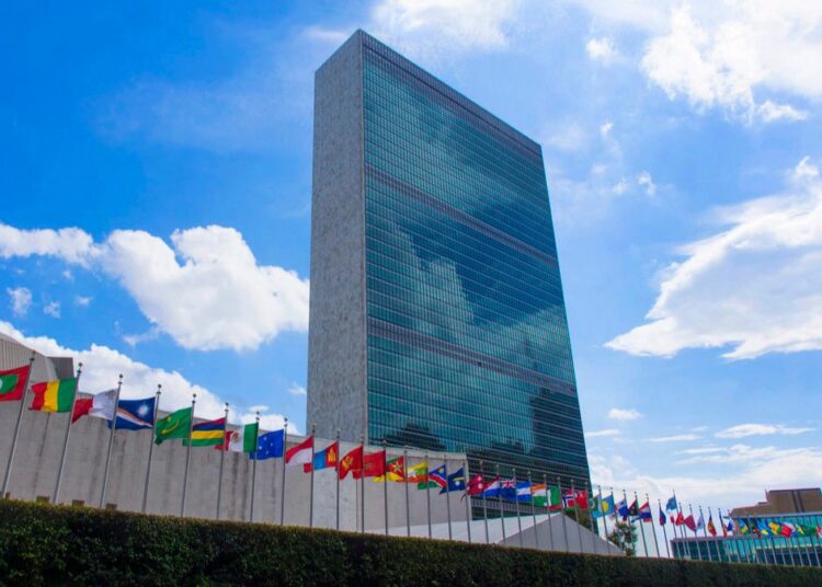 IOF Calls upon UN Ambassadors to Protect Motherhood