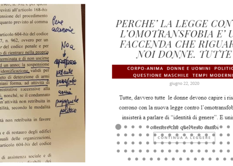 Marina Terragni DDL Zan