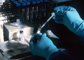 Nein zu COVID-19 Impfungen mit Zellen von abgetriebenen Föten