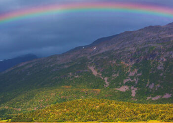 Вратимо дугине боје
