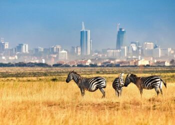 Nairobi National Park
