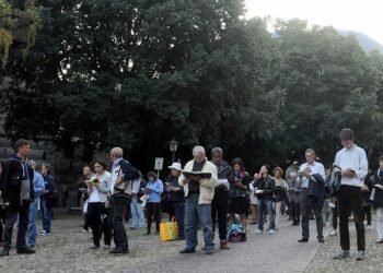 Sentinelle in piedi durante una manifestazione