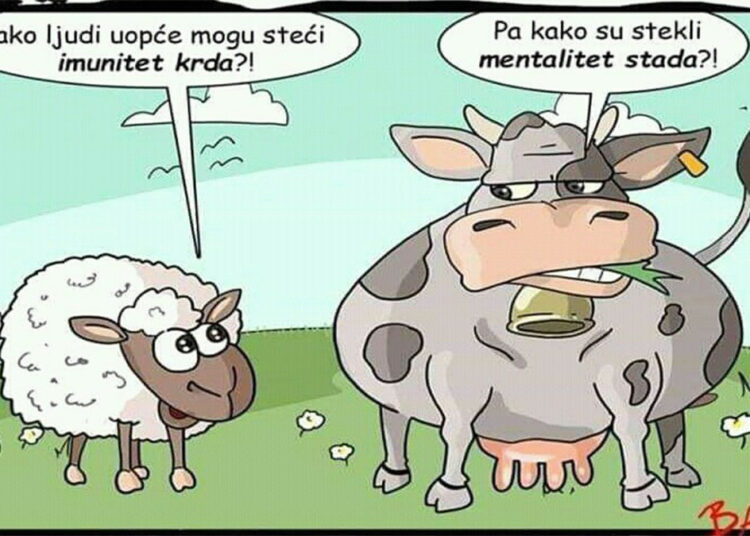 ИМУНИТЕТ КРДА И МЕНТАЛИТЕТ СТАДА ИЛИ ИЗВИНТ`Е, САМО ДА ПИТАМ