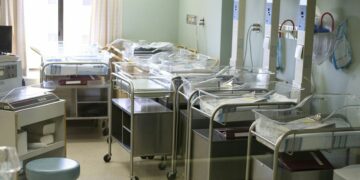 fertility