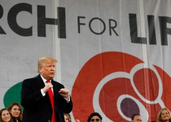 Why All Defenders of Human Dignity, Human Rights and Human Life Should Support the Re-Election of Donald Trump