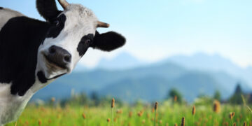 ПРОБЛЕМИ ЖИВОТА НА СЕЛУ (први део)