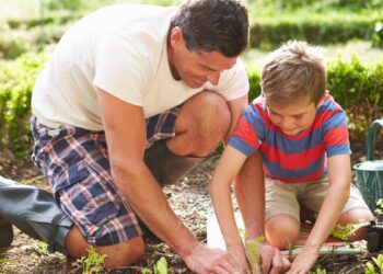 ПОРОДИЦА И РАЈСКИ ВРТ