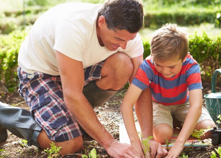 ПОРОДИЦА И РАЈСКИ ВРТ