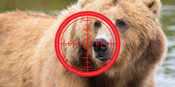 Кто пытается политически убить партию «Единая Россия»?