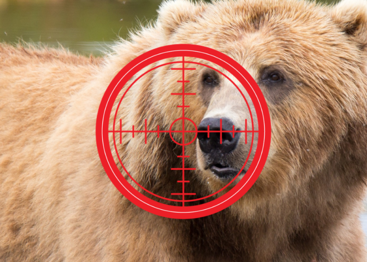 Кто пытается политически убить партию «Единая Россия»?