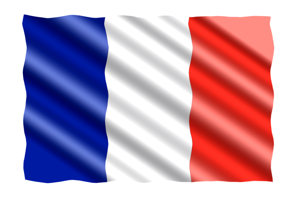 Bandiera francese stilizzata