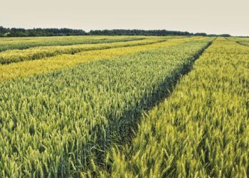 ПРОБЛЕМИ ЖИВОТА НА СЕЛУ (други део)