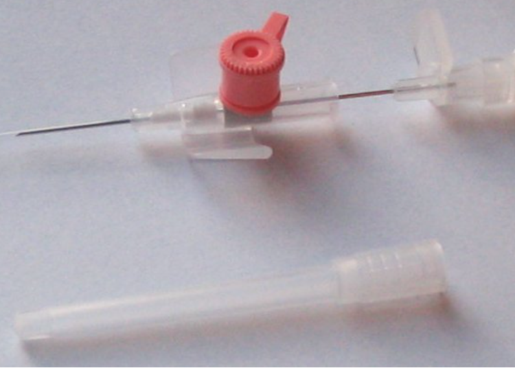 Ago e cannula