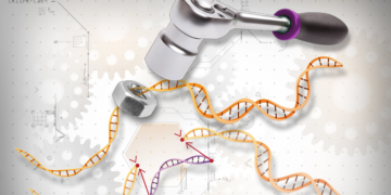 «Здравствуй, новый мир», или как Нобелевка по химии запускает необратимые процессы в изменении человеческой цивилизацииЧасть 2