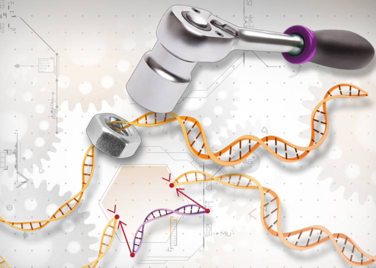 «Здравствуй, новый мир», или как Нобелевка по химии запускает необратимые процессы в изменении человеческой цивилизацииЧасть 2