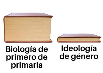 25-N Día de la violencia de género… sí, como lo leen