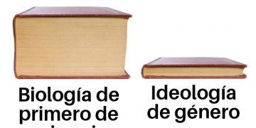 25-N Día de la violencia de género… sí, como lo leen