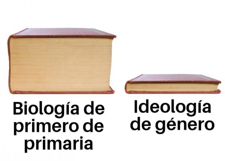 25-N Día de la violencia de género… sí, como lo leen
