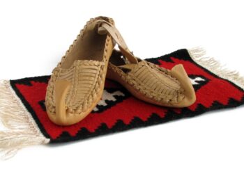 НОВА ВЛАДА И ПИТАЊЕ ПОРОДИЦЕ