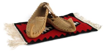 НОВА ВЛАДА И ПИТАЊЕ ПОРОДИЦЕ