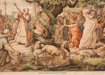 San Bonifacio e l'albero di Natale