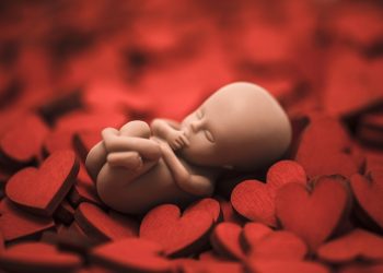 Black pastors decry Reverend Warnock