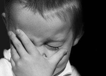 Image from SnappyGoat