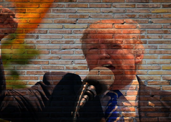 ¿Qué significarían 4 años más de Trump para los provida y profamilia?