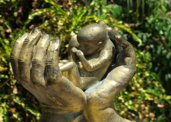 ARGENTINA Aborto 2018-2020: El segundo round