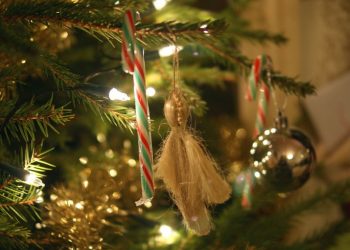 Bastoncini di zucchero natalizi