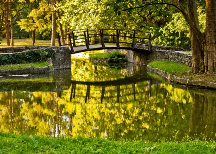 Кривичноправна заштита животне средине