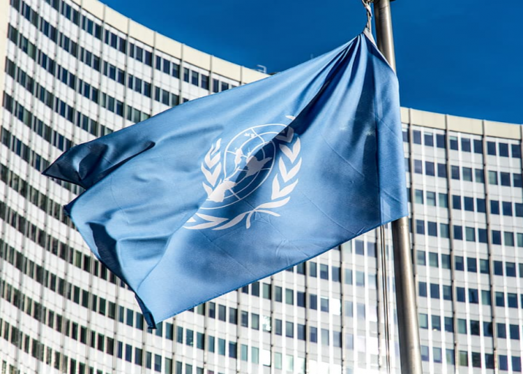 La ONU pregunta cómo fortalecer los Derechos Humanos