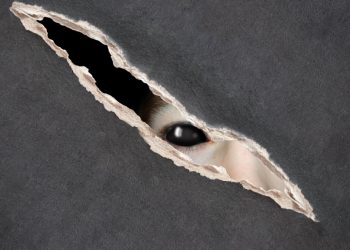 ЏЕНДЕРСКА ЗЛОУПОТРЕБА СЛУЧАЈА АЛЕКСИЋ