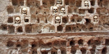 Eugenik, Impfstoffe und Krieg gegen die Armut