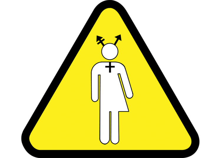 СЕКСУАЛНИ ПРЕВРАТ И ПОБЕДА БЕСПОЛНОСТИ