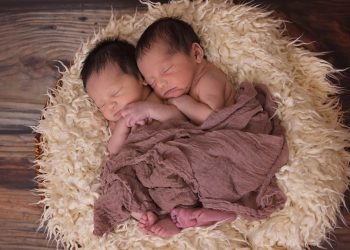 Deutsche finden Küken schreddern schlimmer als Abtreibung