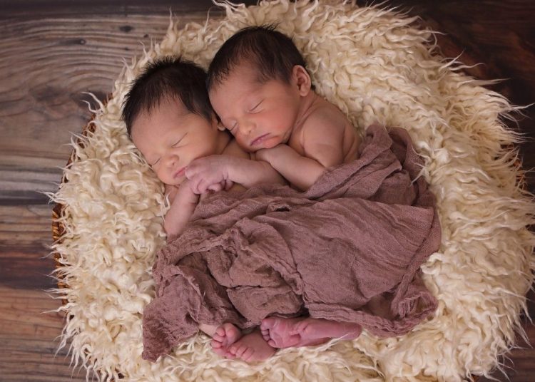 Deutsche finden Küken schreddern schlimmer als Abtreibung